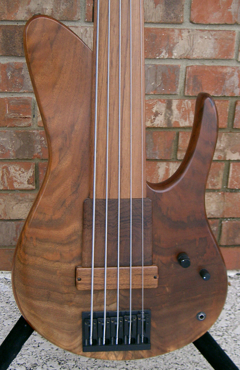 Fodera Beez Elite 5 String Fretless – LowEnd Bass Shop Vault