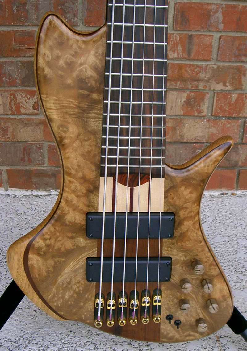 Daniel Fernandez SCLE 6 String – LowEnd Bass Shop Vault