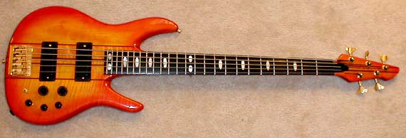 Tl 5 String Lowend Bass Shop Vault 4068